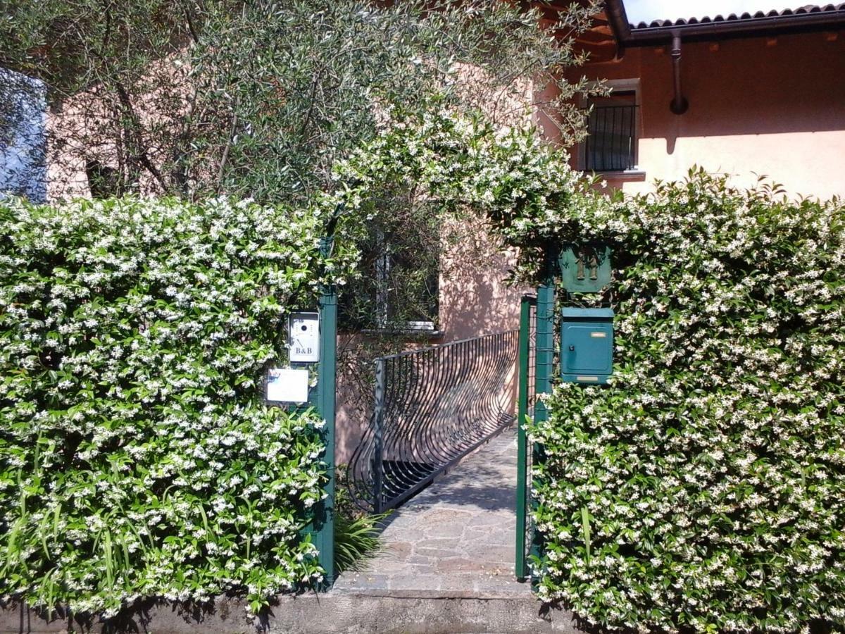 B&B L'Erica Onno Экстерьер фото